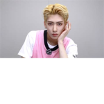 Kpop stan
