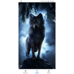 The Alphaa Wolf