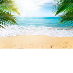 Aesthetic Beach