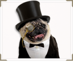 puggy_kid0 Group