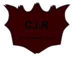 Combat Infantry Recon