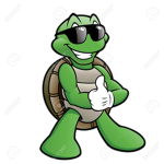 Turtle. gang