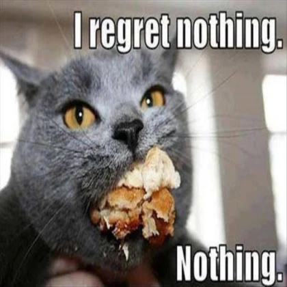 Cat Meme #4