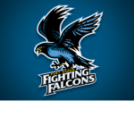 Fighting Falcons Air Force