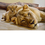 Chickenlion
