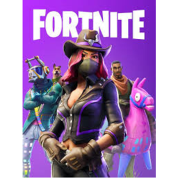 ROBLOX Fortnine