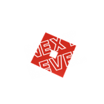 The Next Level Dev Group