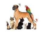 group of pets