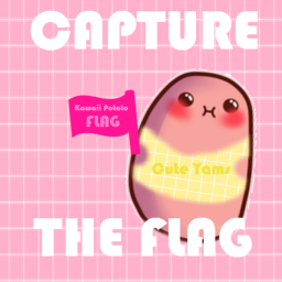 Capture the Flag!
