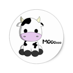 COW COUNTRY!!!