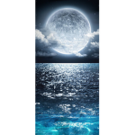 The moon group:by phoebe