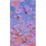 ~•~BLOSSOMS~•~