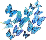 butterfly perductions