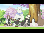 MrPanda