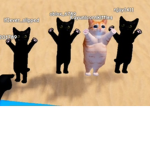 Dancing cat's group