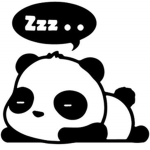 Panda___Nation