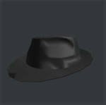 The Fedora Federal Agency