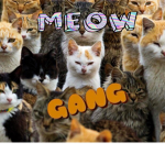 The People Who Say Meow