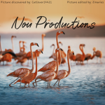 Nou Productions