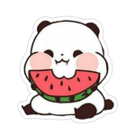 Watermelon panda group