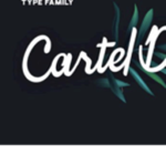 Cartel Bloodline