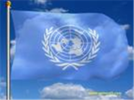 United Nations (UN)