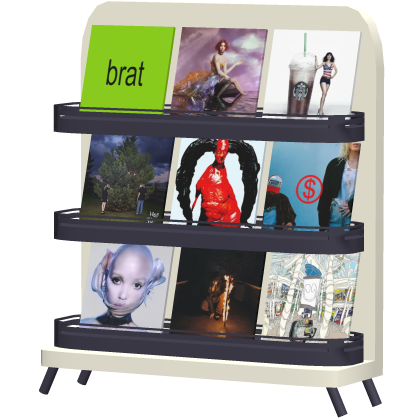 Hyperpop Vinyl Collection Album Shelf