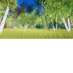 Realistic Forest #1
