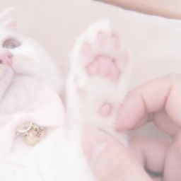 ♡