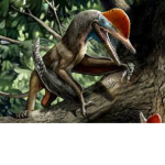 Dinosaur nature