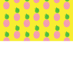 ThePineapple Bros. Studios