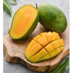 Mango Squad original group