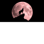 Lunar Wolfz Studio