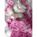 Giving Billy that Moola