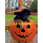 - lila s apparel -