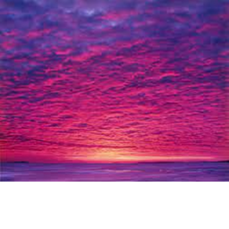 ~{chillvibes}~