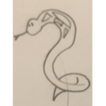PYTHONS FOR LIFE