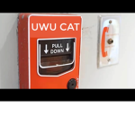 UWU/OWO CATS MUST GO
