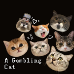 a gambling cat