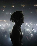 1tslife