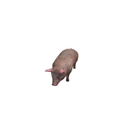 pig NPC with sound