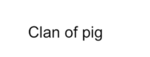 clan of pig