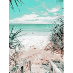 -*Seashells*-