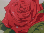 RosesRred Fan Group