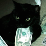 VoidCat Clothing