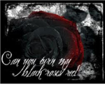The Sisterhood Of Red Roses