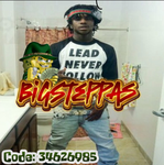 BigSteppass