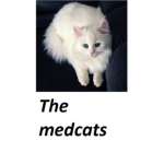 The medicine cats