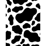 chessies clothing