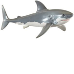 The shark army!!